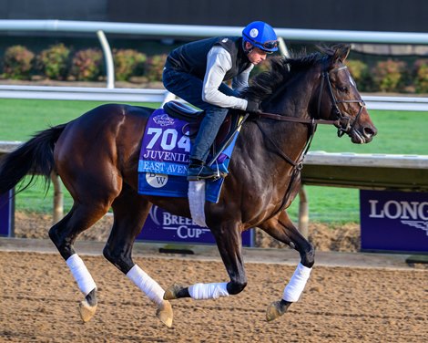 East Avenue Breeders’ Cup contenders training at Del Mar in Del Mar, California, on Oct. 27, 2024.