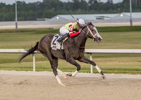 Secret Faith wins the 2024 Louisiana Jewel Stakes at Delta Downs