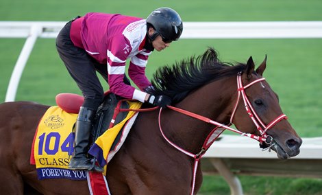 Forever Young at Del Mar 29.10.24 Pic: Edward Whitaker