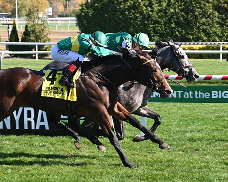 Opulent Restraint wins the 2024 Chelsey Flower Stakes at Aqueduct Racetrack