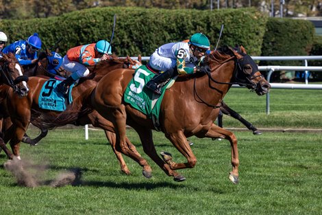 Senbei wins the 2024 Belmont Turf Sprint Stakesat Aqueduct Racetrack