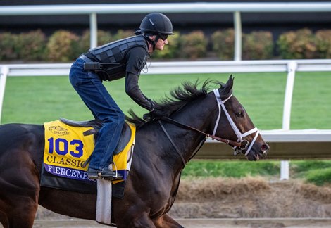 Breeders’ Cup contender Fierceness gallops this morning during the exercise period at the Delmar Race Track Tuesday Oct. 29, 2024 in San Diego, CA.    Photo by Skip Dickstein