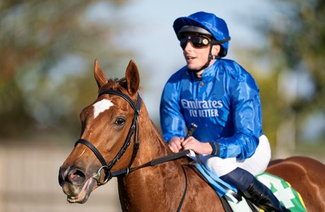 Desert Flower (William Buick) wins the Fillies' Mile<br>
Newmarket 11.10.24 Pic: Edward Whitaker