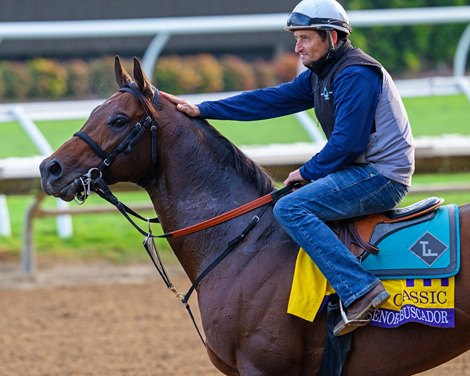 Senor Buscador<br><br />
Breeders’ Cup contenders training at Del Mar in Del Mar, California, on Oct. 27, 2024.