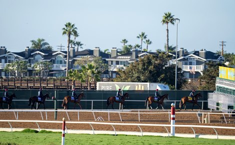 City of Troy heads the Ballydoyle string behind the mile and a quarter starting gates<br>
30.10.24 Pic: Edward Whitaker