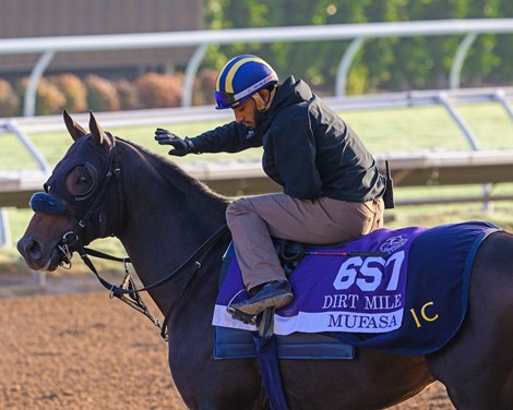 Mufasa<br>
Breeders’ Cup contenders training at Del Mar in Del Mar, California, on Oct. 26, 2024.