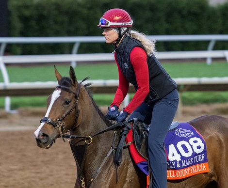 Breeders’ Cup contender Full Count Felicia gallops this morning during the exercise period at the Delmar Race Track Tuesday Oct. 29, 2024 in San Diego, CA.    Photo by Skip Dickstein