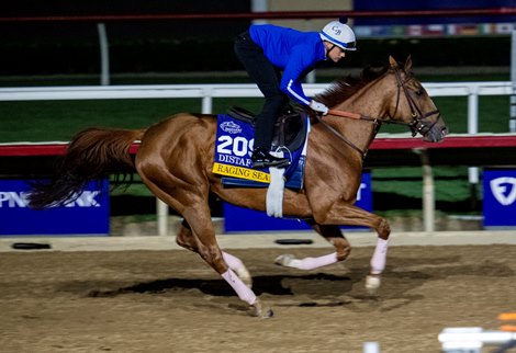 Breeders’ Cup contender Raging Sea gallops this morning during the exercise period at the Delmar Race Track Tuesday Oct. 29, 2024 in San Diego, CA.    Photo by Skip Dickstein