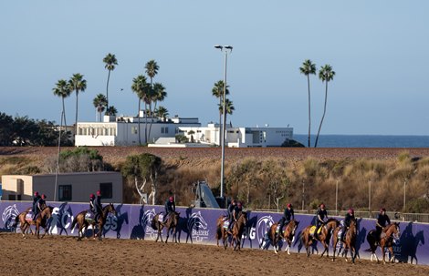 Aidan O&#39;Brien&#39;s string  on the main track at Del Mar <br><br />
30.10.24 Pic: Edward Whitaker
