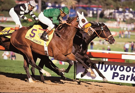 Wild Again, inside, wins the 1984 Breeders' Cup Classic.