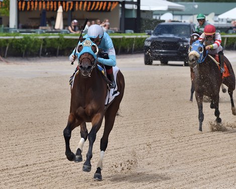 Loco Abarrio wins the 2024 FTBOA Gil Campbell Memorial Handicap at Gulfstream Park