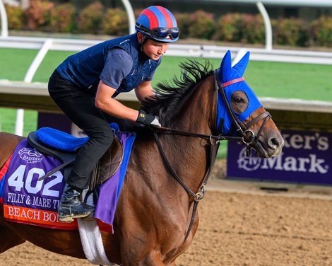 Beach Bomb Breeders’ Cup contenders training at Del Mar in Del Mar, California, on Oct. 27, 2024.