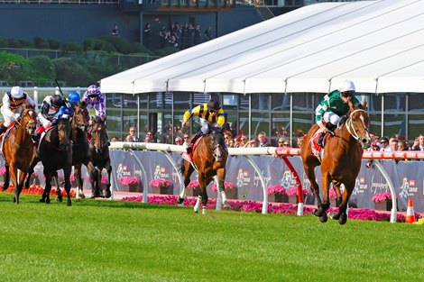 Via Sistina wins the 2024 Cox Plate at Moonee Valley Racecourse<br>
ridden by James McDonald and trained by Chris Waller