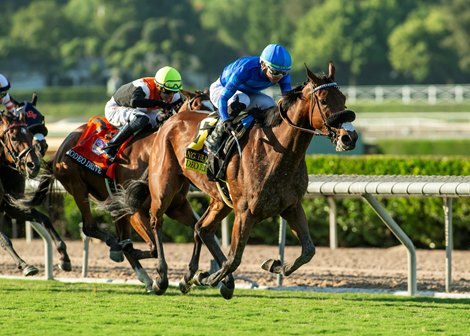 CJ Thoroughbreds' Hang the Moon and jockey Kazushi Kimura win the Grade II $200,000 Rodeo Drive Stakes Saturday, October 5, 2024 at Santa Anita Park, Arcadia, CA.<br>
Benoit Photo