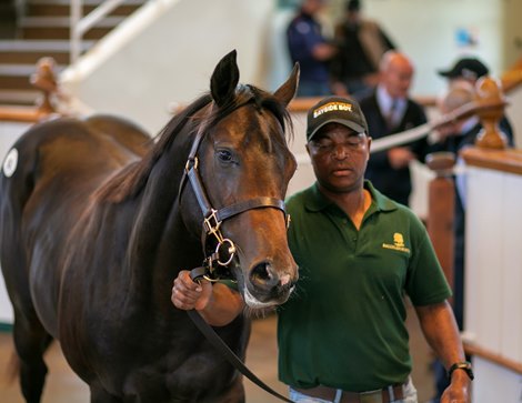 Lot 92 No Nay Never (USA) / Bella Estrella (IRE) B.C. (IRE)       Ballylinch Stud, Ireland    Godolphin    2,200,000Tattersalls<br><br />
October Yearling Sale<br><br />
Book 1<br><br />
2024-10-08