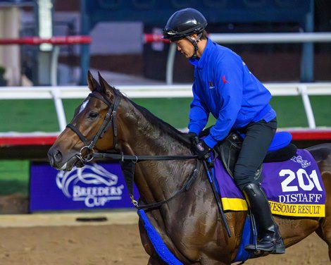 Awesome Result<br>
Breeders’ Cup contenders training at Del Mar in Del Mar, California, on Oct. 28, 2024.