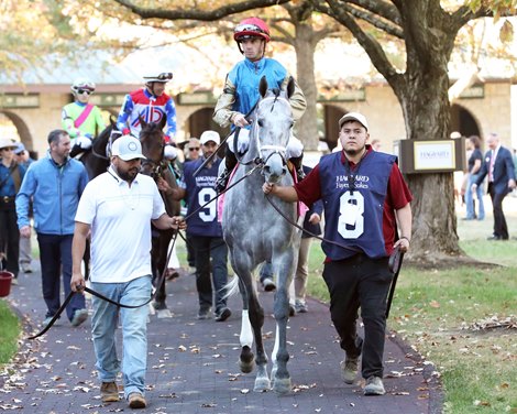 Hit Show wins the 2024 Fayette Stakes at Keeneland