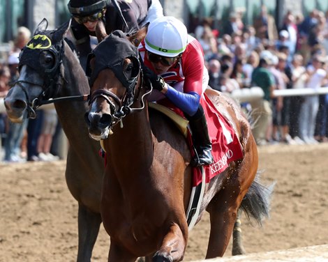 GOOD TEMPER - MSW - KEE - 101324 (Irad Ortiz, Jr.&#39;s 4,000th career win)