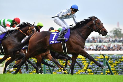 2024 Tenno Sho (Emperors" Cup- Autumn) won by Do Deuce, ridden by Yutaka Take, trained by Yasuo Tomomichi, and owned by Kieffers Co., Ltd. Photos by Katsumi Saito