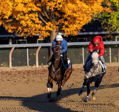 Breeders’ Cup Distaff contender Thorpedo Anna with regular exercise rider Danny Ramsey aboard has her final work at the Oklahoma Training Center Saturday October. 26, 2024 before shipping to California.    Photo by Skip Dickstein