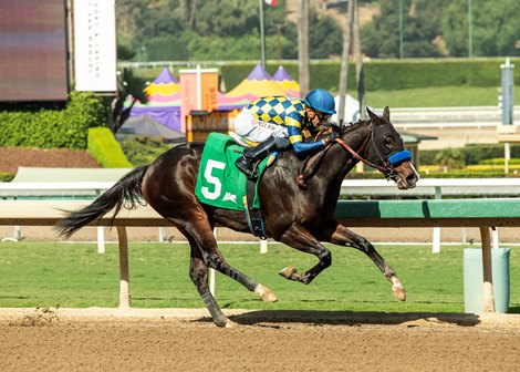 Silent Law wins the 2024 Anoakia Stakes at Santa Anita