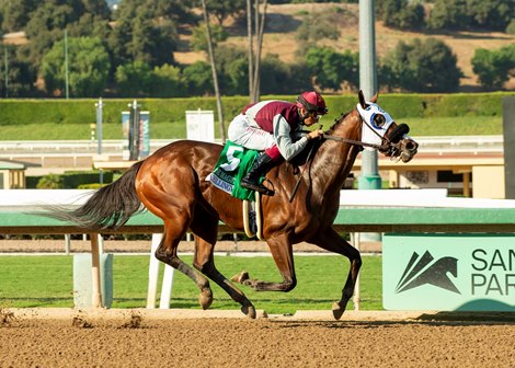 John Gallegos' One Magic Philly and jockey Antonio Fresu win the Grade III $100,000 Chillingworth Stakes Saturday, October 5, 2024 at Santa Anita Park, Arcadia, CA.<br>
Benoit Photo