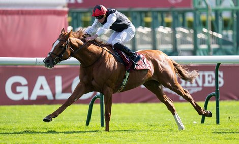 Kyprios (Ryan Moore) wins the Prix du Cadran<br>
Longchamp 5.10.24 Pic: Edward Whitaker