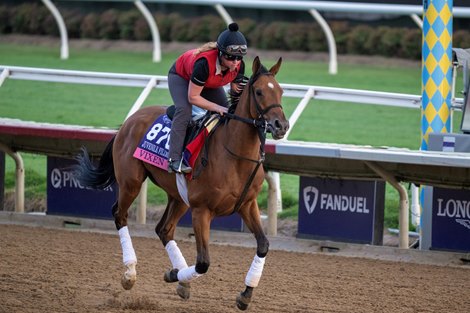 Breeders’ Cup contender Vixen gallops this morning during the exercise period at the Delmar Race Track Tuesday Oct. 29, 2024 in San Diego, CA.    Photo by Skip Dickstein