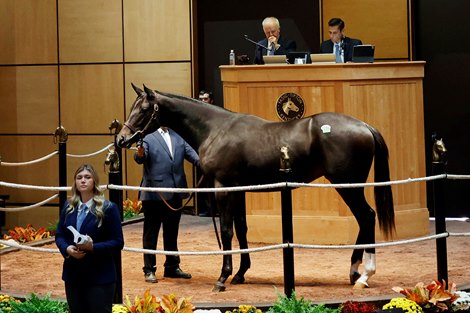 Hip 1280,  2024 Fasig-Tipton October Sale