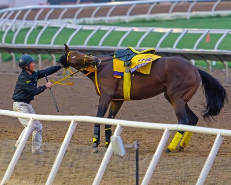 Ushba Tesoro during an  odd occurrence on track when the stirrup got caught up Breeders’ Cup contenders training at Del Mar in Del Mar, California, on Oct. 28, 2024.