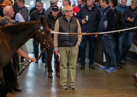 Anthony Stroud<br>
Tattersalls <br>
October Yearling Sale<br>
Book 1<br>
2024-10-09