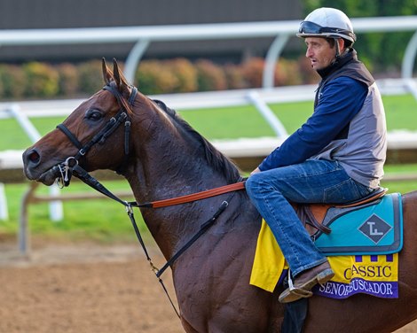 Senor Buscador<br>
Breeders’ Cup contenders training at Del Mar in Del Mar, California, on Oct. 27, 2024.