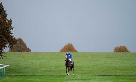 Shadow of Light (William Buick) pull up after The Dewhurst<br>
Newmarket 12.10.24 Pic: Edward Whitaker