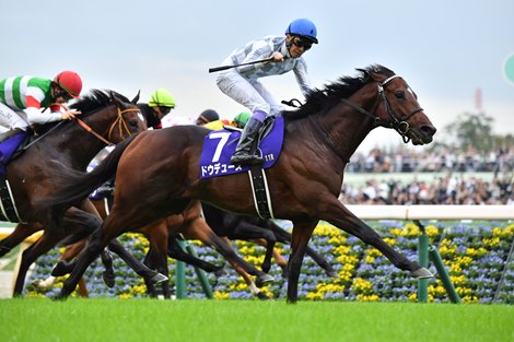 2024 Tenno Sho (Emperors" Cup- Autumn) won by Do Deuce, ridden by Yutaka Take, trained by Yasuo Tomomichi, and owned by Kieffers Co., Ltd. <br>
Photos by Katsumi Saito