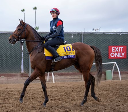 City of Troy (Rachel Richardson, yellow saddle cloth) walks off the track after exercise at Del Mar 29.10.24 Pic: Edward Whitaker