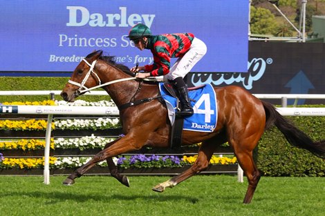 Lady Shenandoah wins the 2024 Flight Stakes at Royal Randwick Racecourse<br>
ridden by Zac Lloyd and trained by Chris Waller