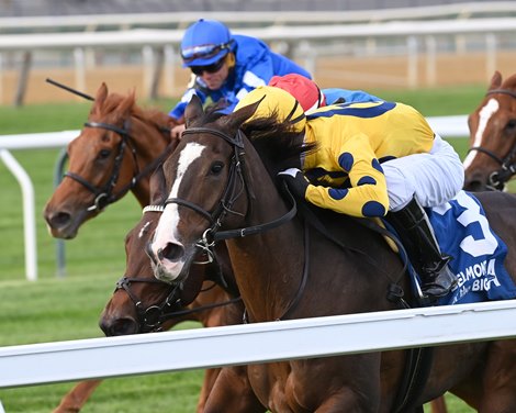 La Mehana wins the 2024 Waya Stakes at Aqueduct Racetrack