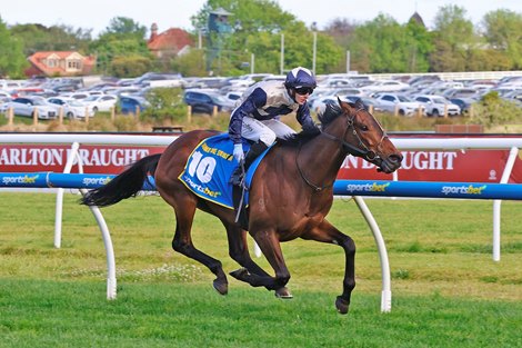 Duke de Sessa wins the 2024 Caulfield Cup at Caulfield Racecourse<br>
ridden by Harry Coffey and trained by Ciaron Maher