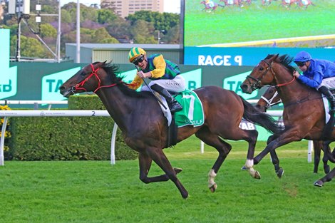 Ceolwulf wins the 2024 Epsom Handicap at Royal Randwick Racecourse<br>
ridden by Chad Schofield and trained by Joe Pride