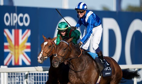 Anmaat (Jim Crowley) wins the Champion Stakes<br>
Ascot 19.10.24 Pic: Edward Whitaker