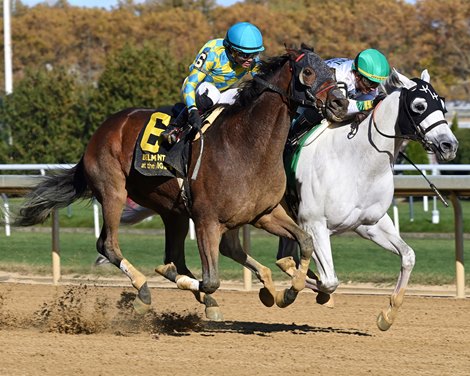 Runninsonofagun (outside) wins the 2024 Bold Ruler at Aqueduct Racetrack after the disqualification of My Buddy B, who finished 1st.