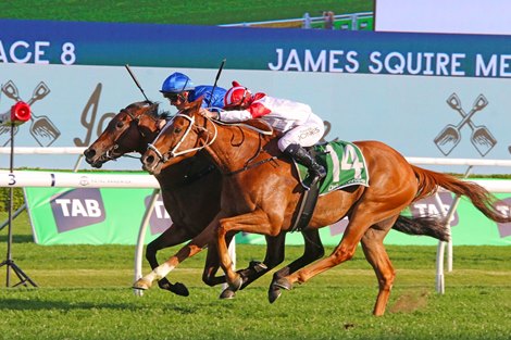 Land Legend wins the 2024 Metropolitan Handicap at Royal Randwick Racecourse<br>
ridden by Reece Jones and trained by Chris Waller