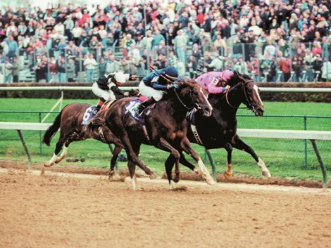 Tiznow held off Europe's 'Iron Horse,' Giant's Causeway, to win the 2000 Breeders' Cup Classic by a neck. Tiznow was named Horse of the Year.