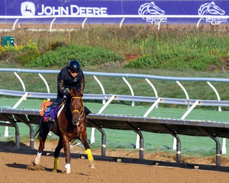 Remake<br>
Breeders’ Cup contenders training at Del Mar in Del Mar, California, on Oct. 26, 2024.