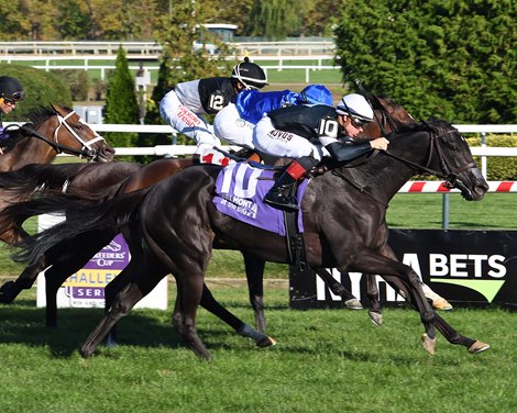 Abientot wins the 2024 Matron Stakes at Belmont at the Big A