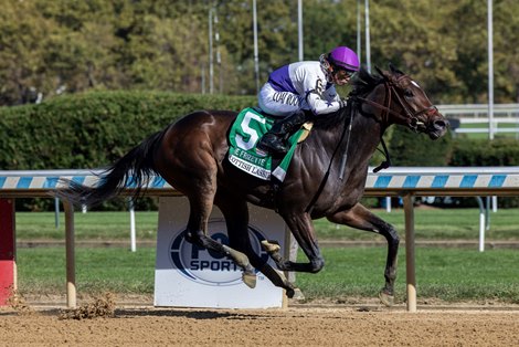 Scottish Lassie wins the 2024 Frizette Stakes at Aqueduct Racetrack