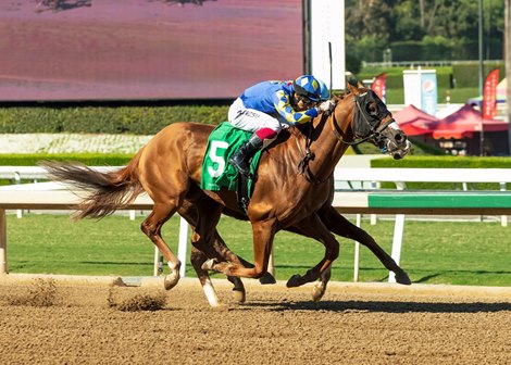 Mucino, Maiden Win, Santa Anita Park, October 8 2023