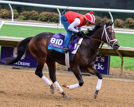 Mentee<br>
Breeders’ Cup contenders training at Del Mar in Del Mar, California, on Oct. 28, 2024.