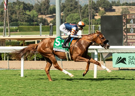 Thought Process and jockey Hector Berrios win the Grade III, $100,000 Surfer Girl Stakes, Sunday, October 6, 2024 at Santa Anita Park, Arcadia CA.<br> &#169; BENOIT PHOTO