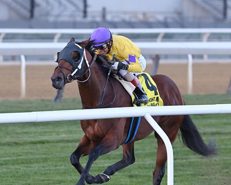 Run Carson wins the 2024 Carle Place Stakes at Aqueduct Racetrack